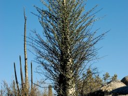 USA_Mexico2006-2007-055